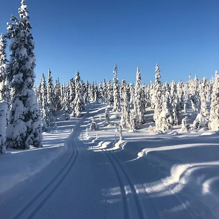 Feriehus Flott Familiehytte Til Leie Budor *