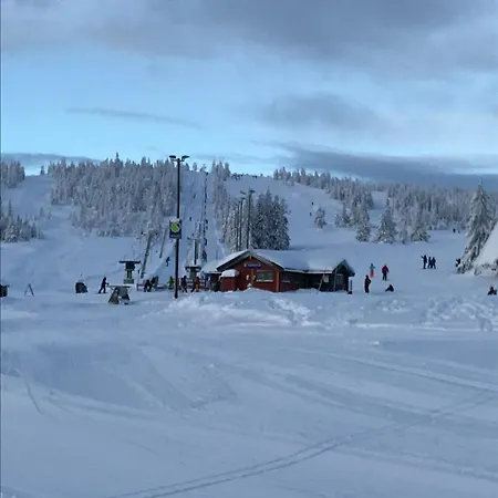 Feriehus Flott Familiehytte Til Leie Budor